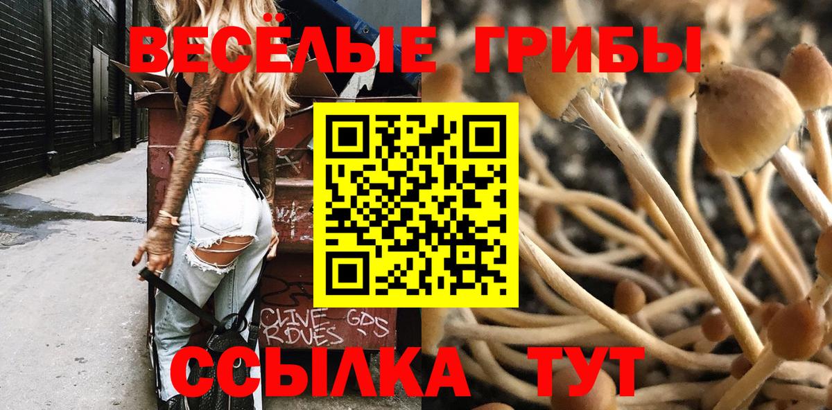 Симферополь  Галлюциногенные грибы ЛСД  Вход с VPN  Галлюциногенные грибы Cubensis 